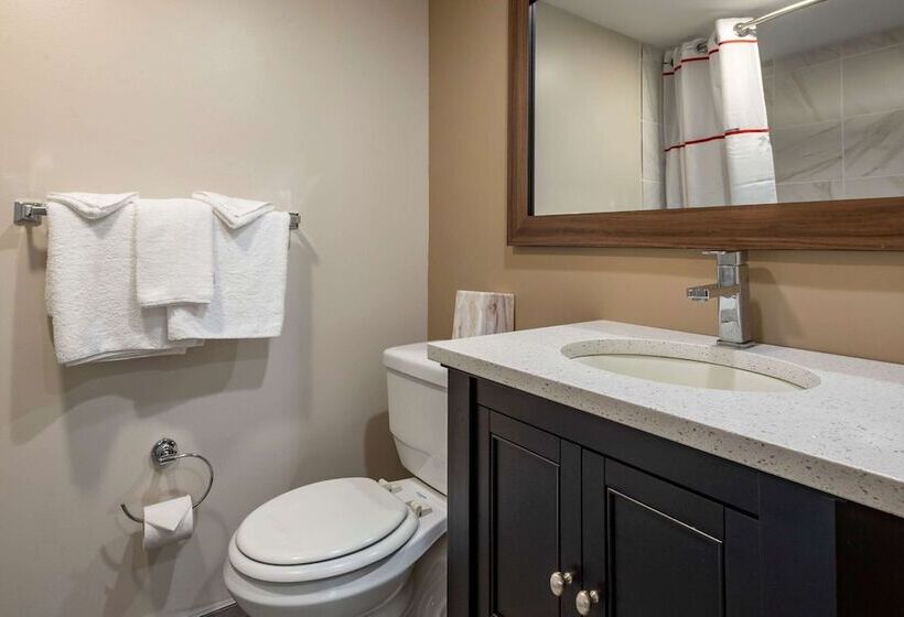 اتاق استاندارد با 2 تخت دوبل, Rodeway Inn Oceanview