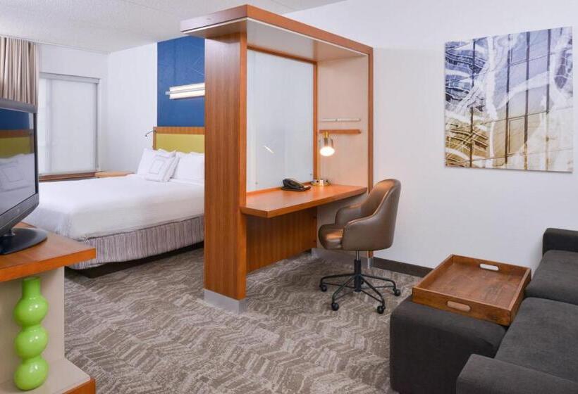 استودیو استاندارد با تخت کینگ, Springhill Suites Durham Chapel Hill