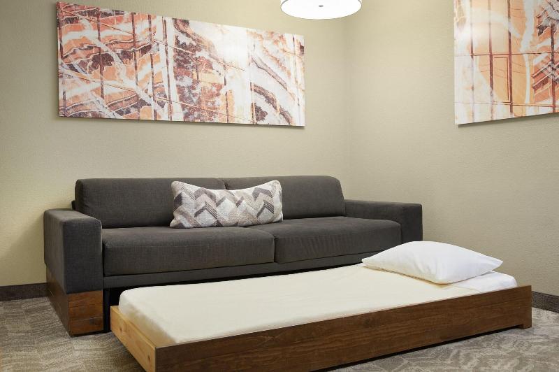 استودیو استاندارد با تخت کینگ, Springhill Suites St. Louis Airport/earth City