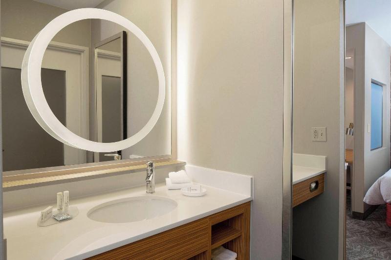 استودیو استاندارد با تخت کینگ, Springhill Suites St. Louis Airport/earth City