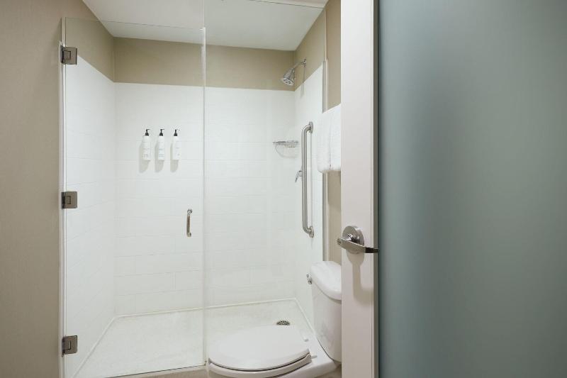 استودیو استاندارد با تخت کینگ, Springhill Suites St. Louis Airport/earth City