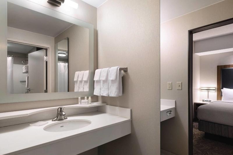استودیو استاندارد با تخت کینگ, Springhill Suites By Marriott Syracuse Carrier Circle