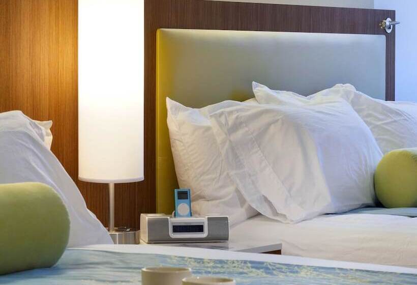 استودیوی استاندارد, Springhill Suites Ewing Township Princeton South