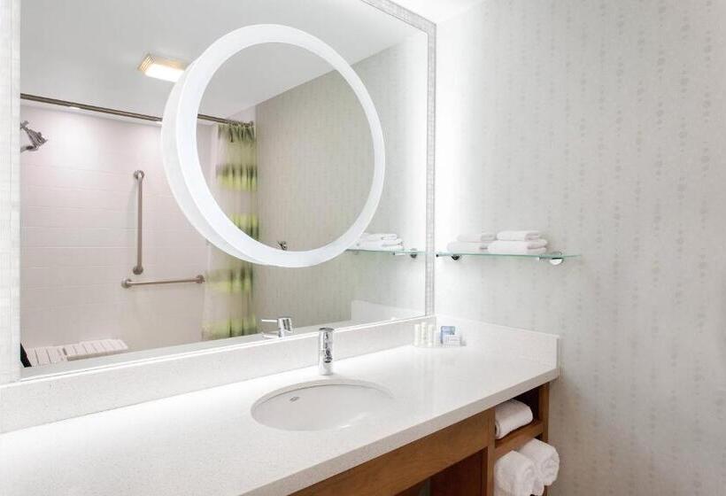 استودیو استاندارد با تخت کینگ, Springhill Suites Ewing Township Princeton South
