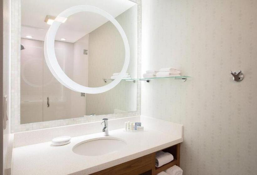 استودیو استاندارد با تخت کینگ, Springhill Suites Ewing Township Princeton South