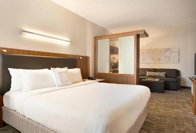 استودیو استاندارد با تخت کینگ, Springhill Suites Ewing Township Princeton South