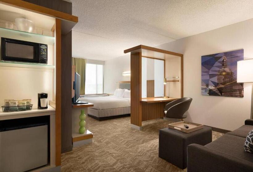 استودیو استاندارد با تخت کینگ, Springhill Suites Ewing Township Princeton South