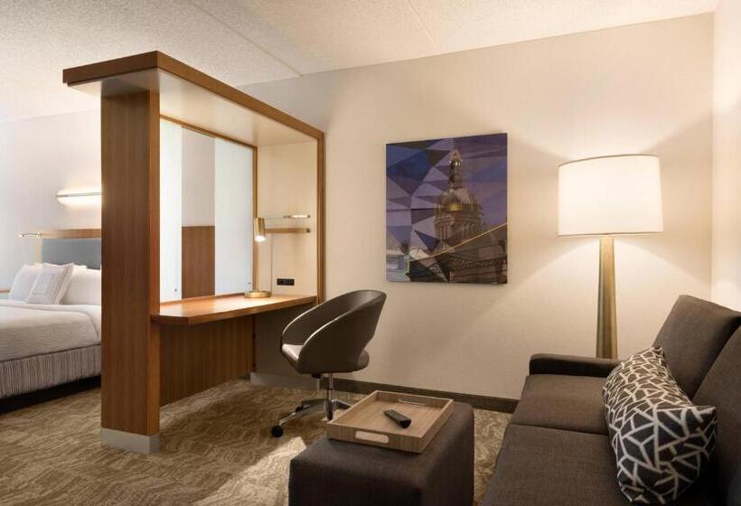 استودیو استاندارد با تخت کینگ, Springhill Suites Ewing Township Princeton South