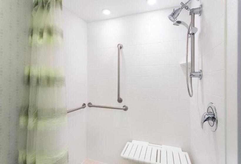 استودیوی استاندارد, Springhill Suites Ewing Township Princeton South