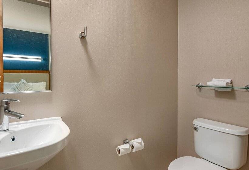 استودیوی استاندارد, Springhill Suites Vero Beach