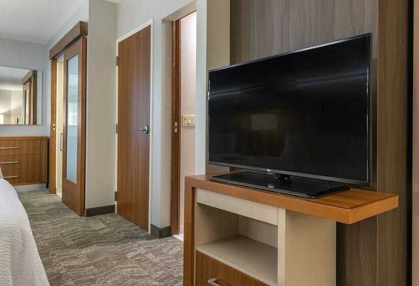 استودیوی استاندارد, Springhill Suites Vero Beach