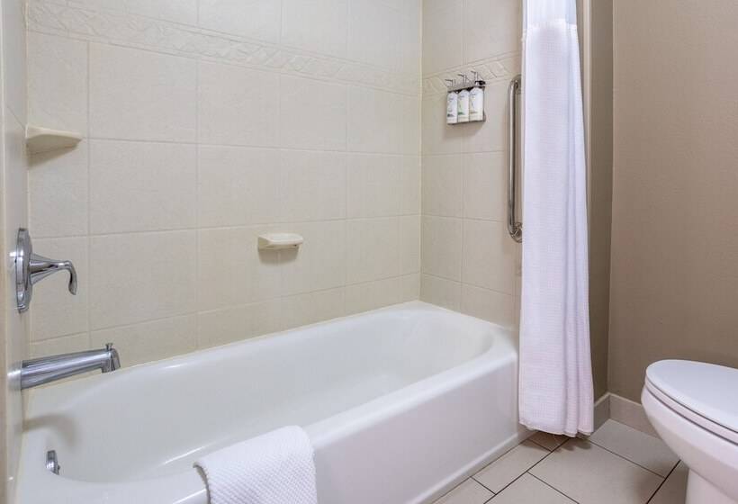سوئیت 2 خوابه, Staybridge Suites Wilmington East, An Ihg