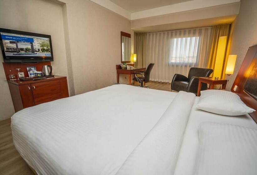 Deluxe Kamer, Anemon Eskisehir