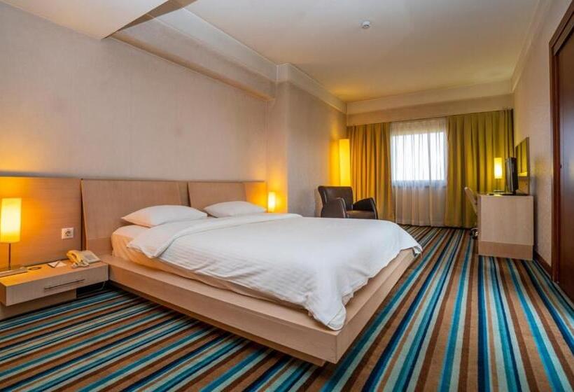 سوییت اجرایی, Anemon Grand Eskisehir