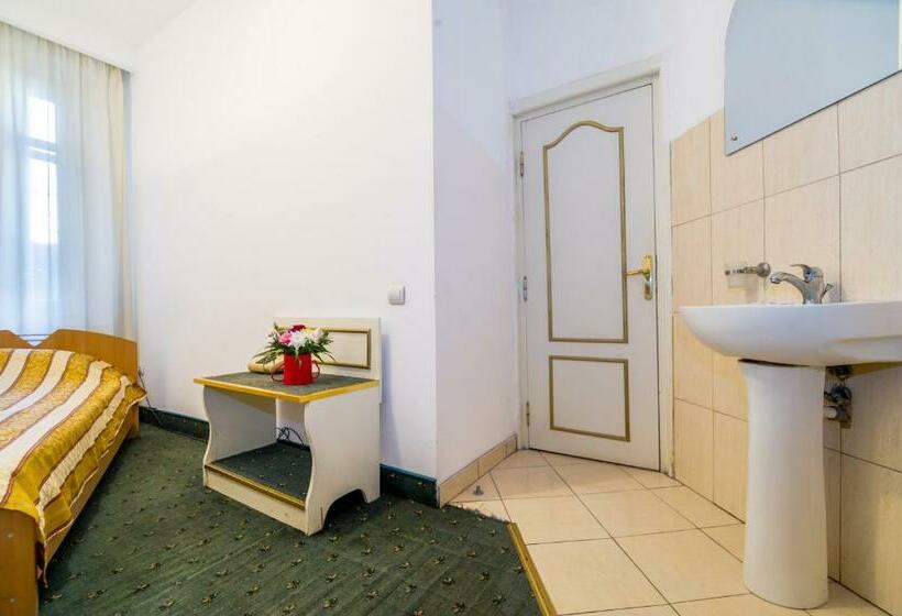 اتاق استاندارد با سرویس بهداشتی مشترک, Carpati Imparatul Romanilor
