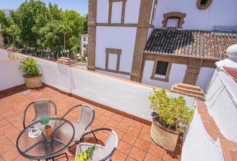 Habitación Estándar con Terraza, Colon