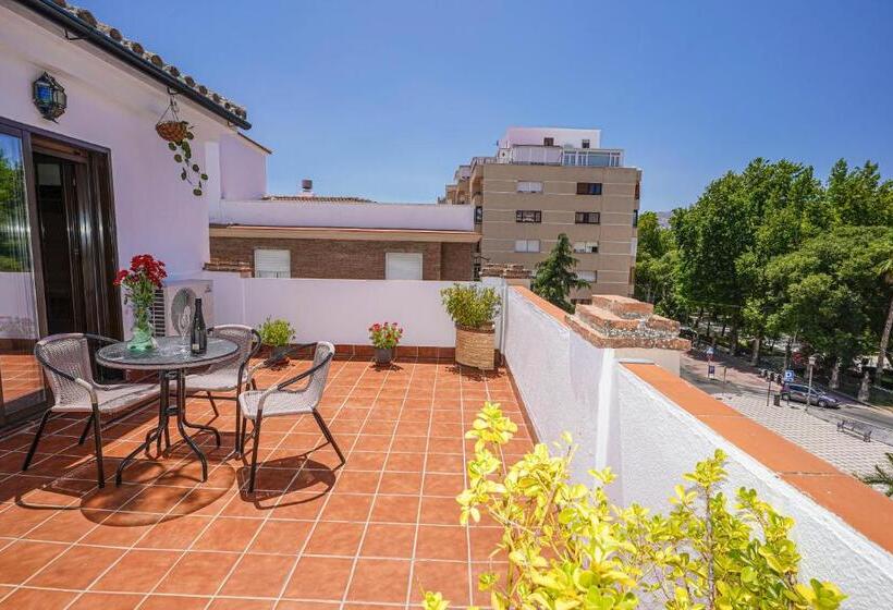 Quarto Estandar com Terraço, Colon