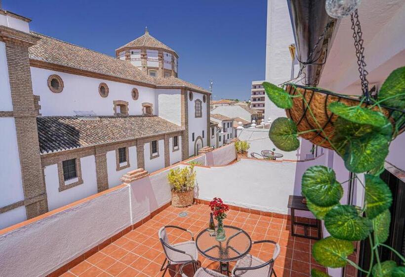 Habitación Estándar con Terraza, Colon