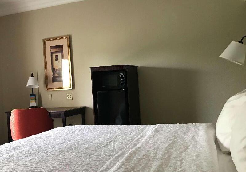 اتاق استاندارد با تخت بزرگ, Hampton Inn Vidalia