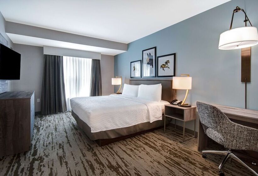 سوئیت 2 خوابه, Homewood Suites Lexington Hamburg