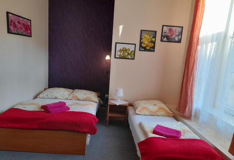 اتاق استاندارد سه نفره, Green Hostel