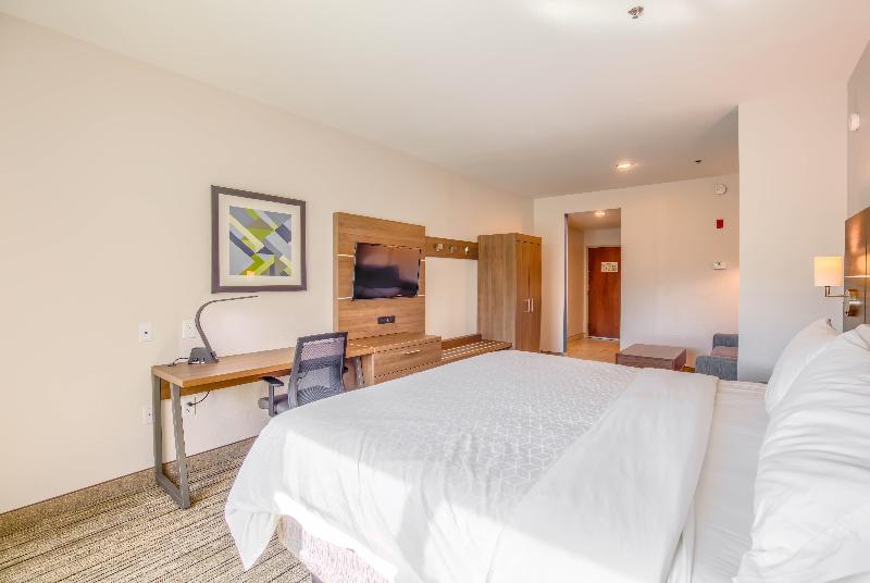 اتاق استاندارد با تخت بزرگ, Holiday Inn Express Hotel & Suites Gulf Shores, An Ihg