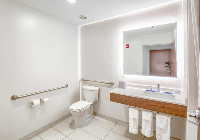 اتاق استاندارد با تخت بزرگ برای معلولان, Holiday Inn Express Hotel & Suites Gulf Shores, An Ihg