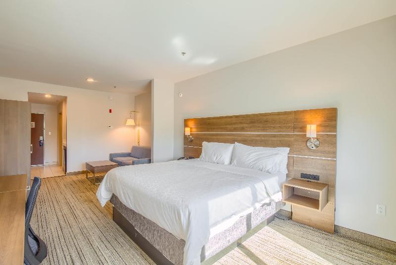 سوئیت اجرایی با تخت کینگ, Holiday Inn Express Hotel & Suites Gulf Shores, An Ihg