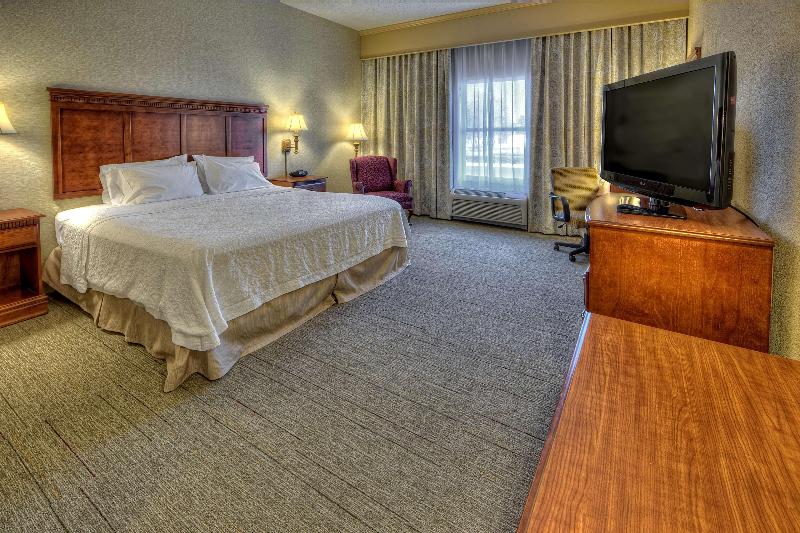 اتاق استاندارد با تخت بزرگ, Hampton Inn Manning