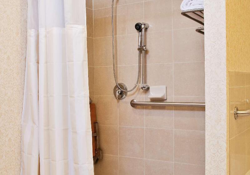 اتاق استاندارد با تخت بزرگ, Hilton Garden Inn Amarillo