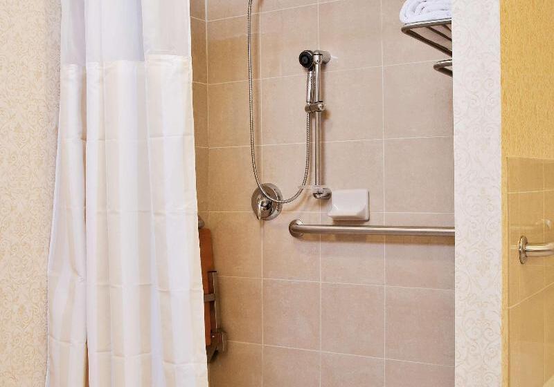 اتاق استاندارد با تخت بزرگ, Hilton Garden Inn Amarillo