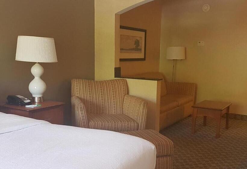 استودیو استاندارد با تخت کینگ, Holiday Inn Carbondale   Conference Center, An Ihg