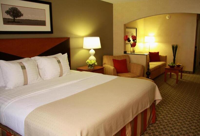 استودیو استاندارد با تخت کینگ, Holiday Inn Carbondale   Conference Center, An Ihg