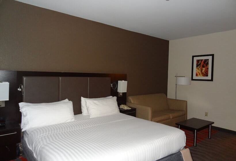 اتاق استاندارد, Holiday Inn Express  & Suites Columbus Southeast