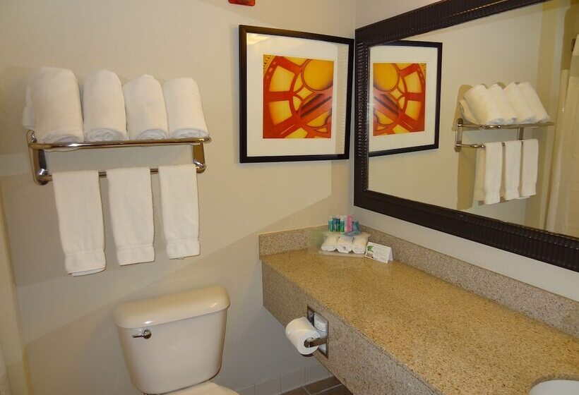 سوییت, Holiday Inn Express Hotel & Suites Columbus Southeast Groveport, An Ihg