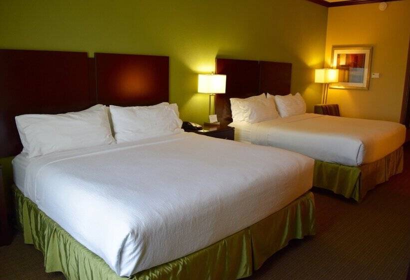 Standard Room Adapted for people with reduced mobility, Holiday Inn Hou Energy Corridor Eldridge