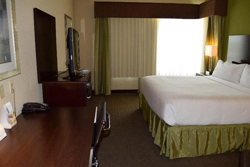 اتاق استاندارد با تخت بزرگ, Holiday Inn Hou Energy Corridor Eldridge, An Ihg