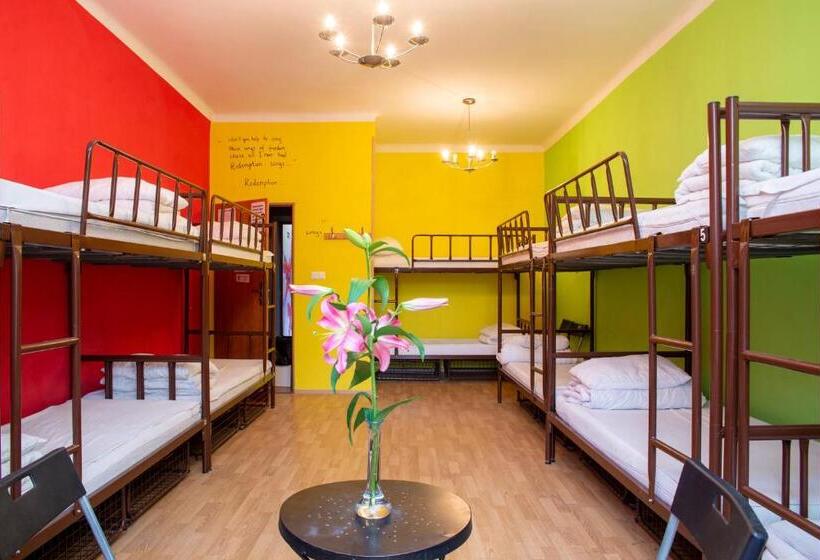 اتاق استاندارد با سرویس بهداشتی مشترک, Let S Rock Party Hostel! Age Limit From 18 Until 40!