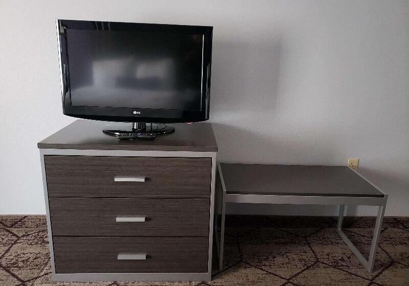 اتاق لوکس با تخت بزرگ, Hilton Garden Inn Leiden