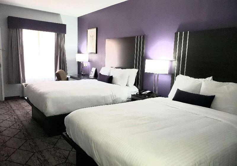 اتاق لوکس با تخت بزرگ, Hilton Garden Inn Leiden