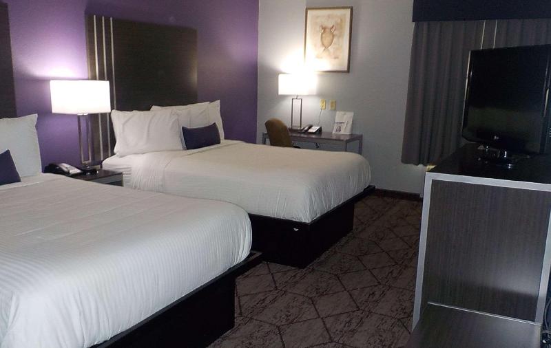 اتاق لوکس با تخت بزرگ, Hilton Garden Inn Leiden