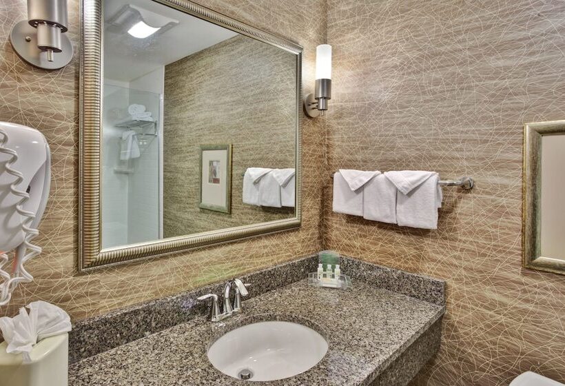 اتاق استاندارد, Holiday Inn Detroit Metro Airport, An Ihg