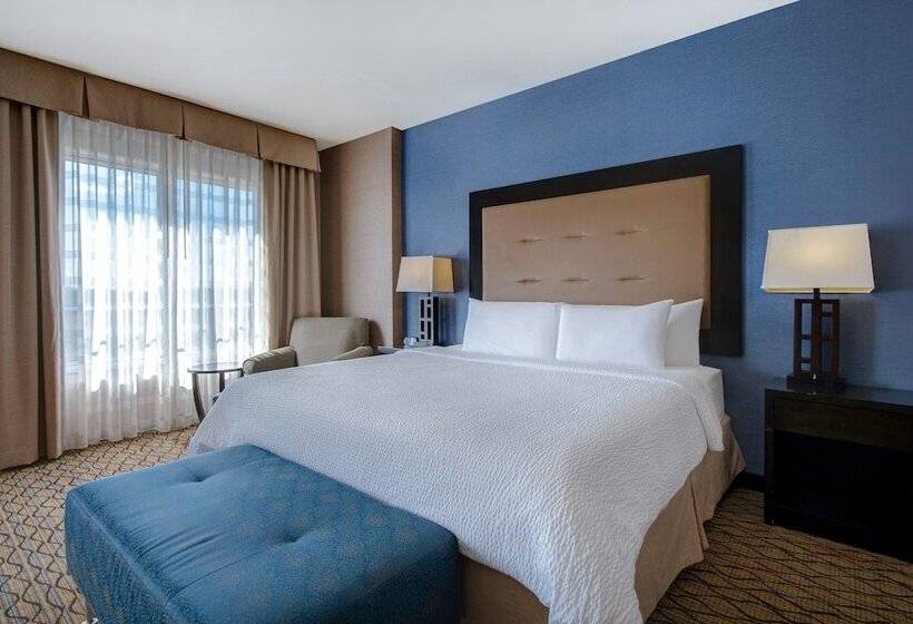 اتاق استاندارد, Holiday Inn Detroit Metro Airport, An Ihg