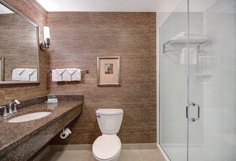 اتاق استاندارد, Holiday Inn Detroit Metro Airport, An Ihg