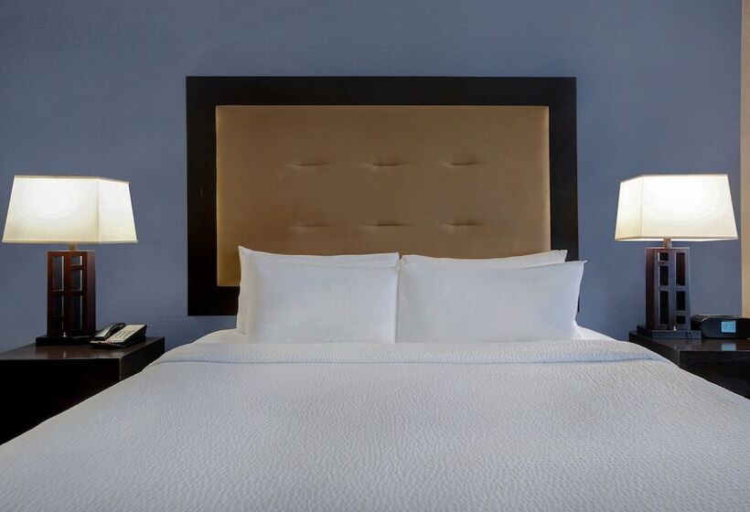 اتاق استاندارد, Holiday Inn Detroit Metro Airport, An Ihg