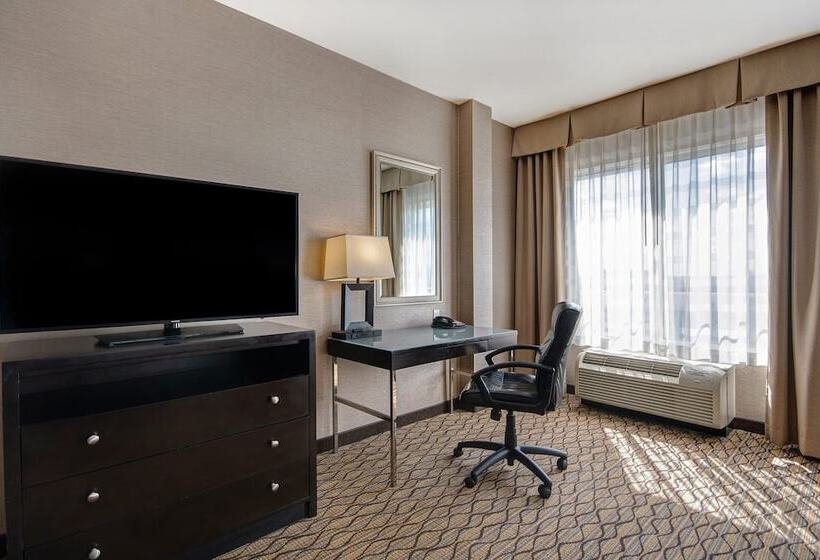 اتاق استاندارد, Holiday Inn Detroit Metro Airport, An Ihg