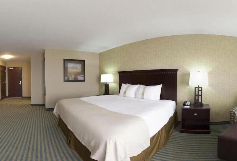 اتاق استاندارد با تخت دوبل, Holiday Inn Columbiaeast