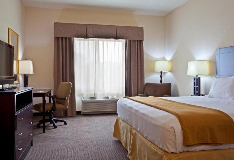 اتاق استاندارد با تخت بزرگ, Holiday Inn Express  & Suites Chicago Airport Westo Hare