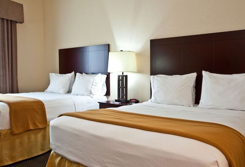 غرفة قياسية لذوى الاحتياجات الخاصة, Holiday Inn Express  & Suites Chicago Airport Westo Hare