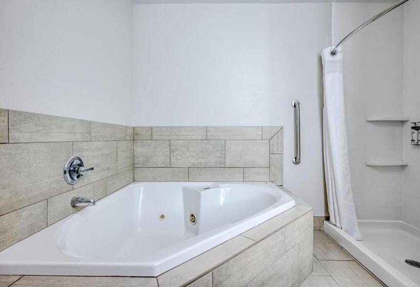 اتاق استاندارد با تخت بزرگ, Holiday Inn Express & Suites Vandalia, An Ihg